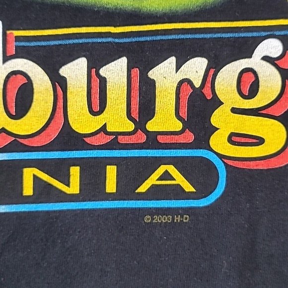 Harley-Davidson Lynchburg Va T-Shirt Mens Size Large XL Black Double Sided HD-03 - Picture 3 of 12